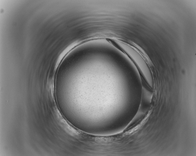 X0000085810812200703231334