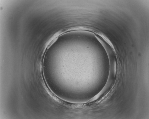 X0000085810813200703231334