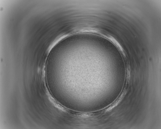 X0000085810814200703231334