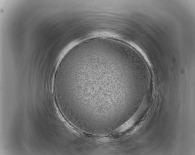 X0000085810815200703231334