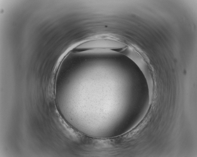 X0000085810816200703231334