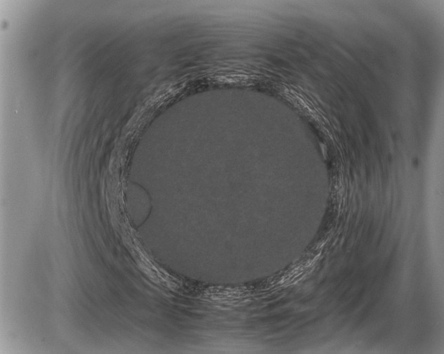 X0000085810817200703231333