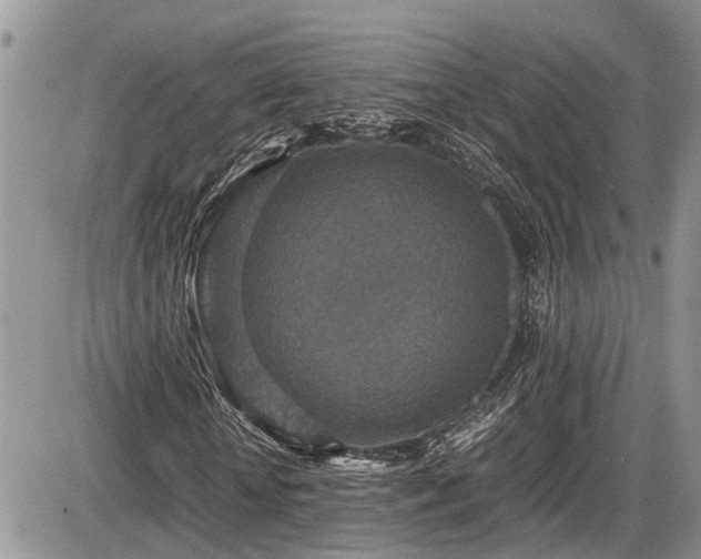 X0000085810818200703231333