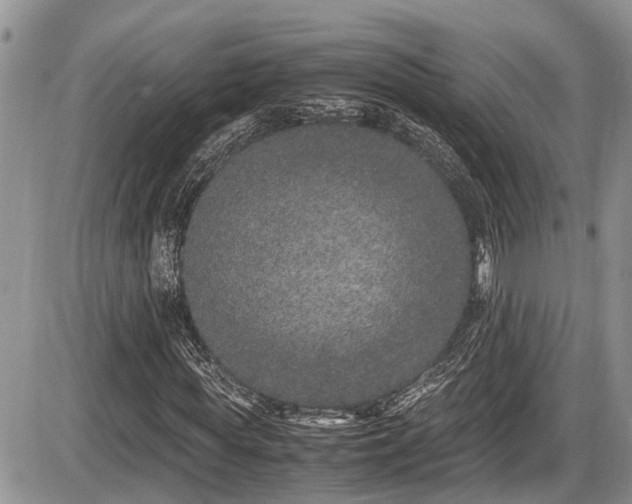 X0000085810819200703231333