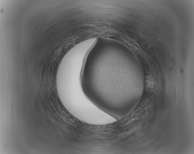 X0000085810820200703231333