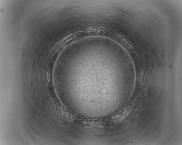 X0000085810821200703231333