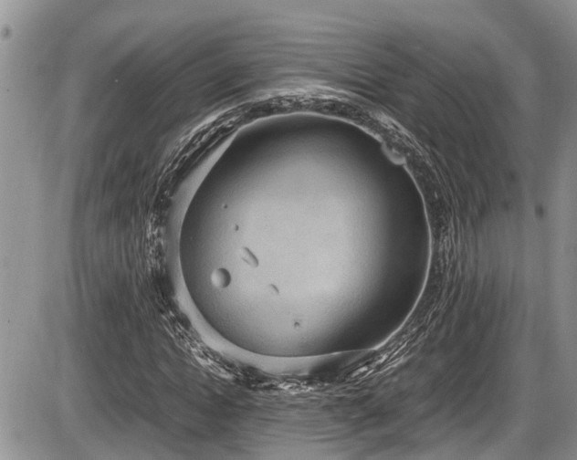 X0000085810822200703231333