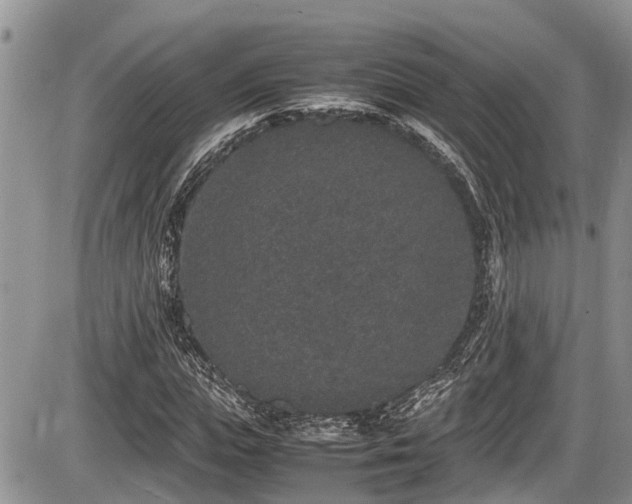 X0000085810823200703231333