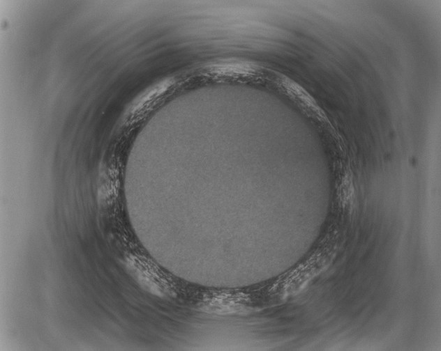 X0000085810824200703231333