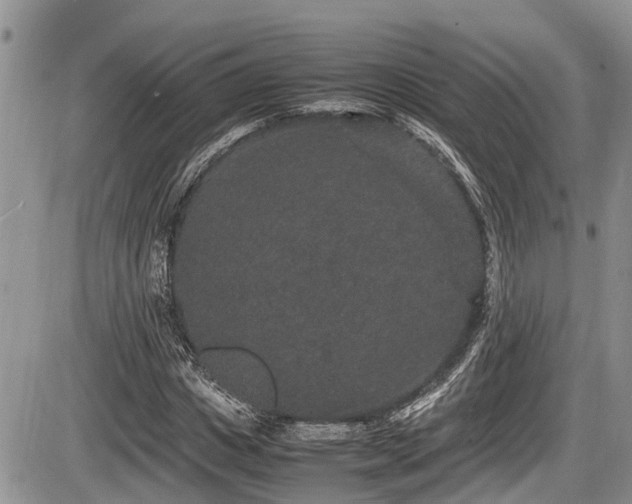 X0000085810825200703231333