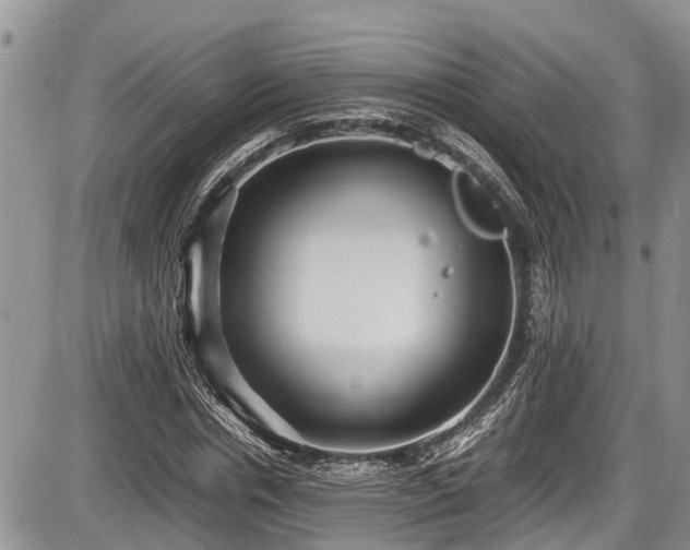 X0000085810826200703231333