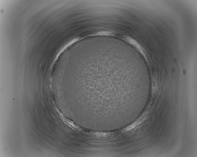 X0000085810827200703231333