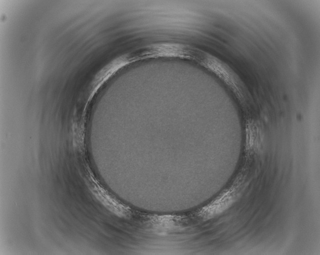 X0000085810828200703231333