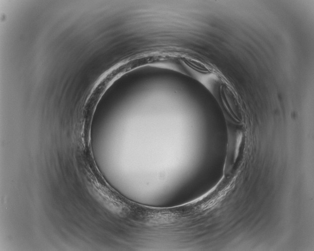 X0000085810830200703231333