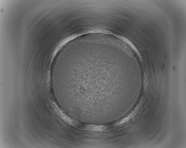 X0000085810831200703231333