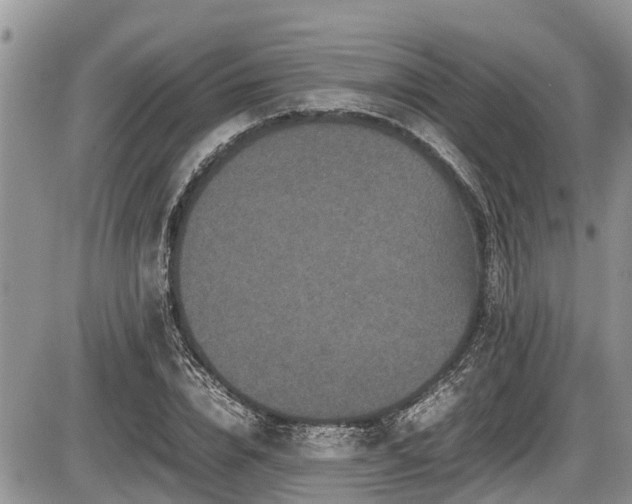 X0000085810832200703231333