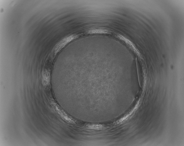 X0000085810833200703231333