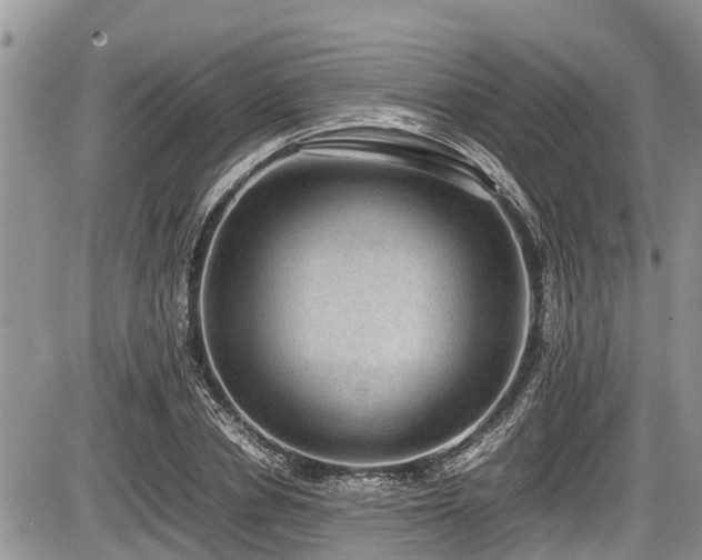 X0000085810834200703231333