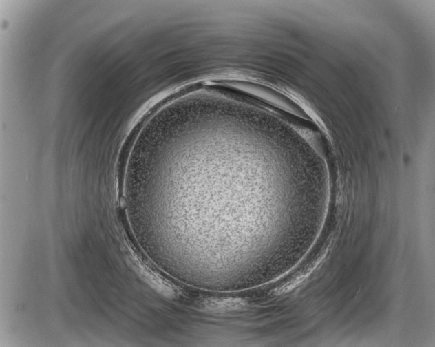 X0000085810837200703231333