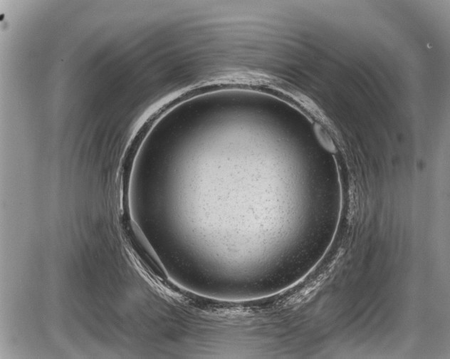 X0000085810838200703231333