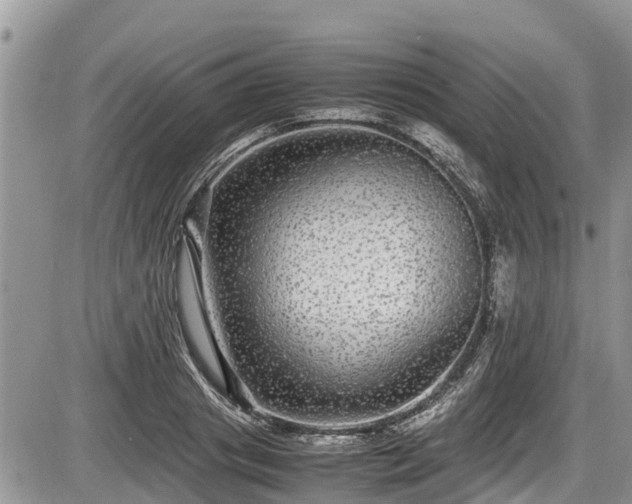 X0000085810841200703231334