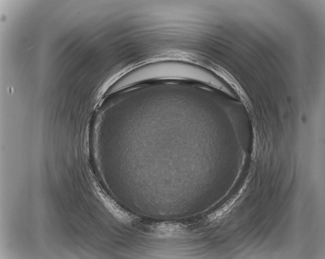 X0000085810842200703231334