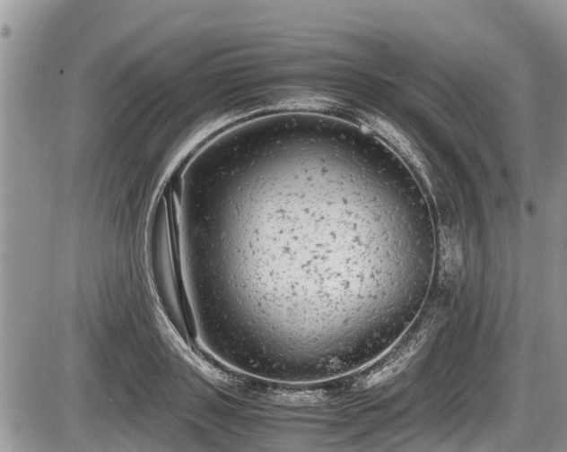 X0000085810843200703231334