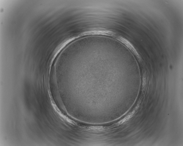 X0000085810844200703231334