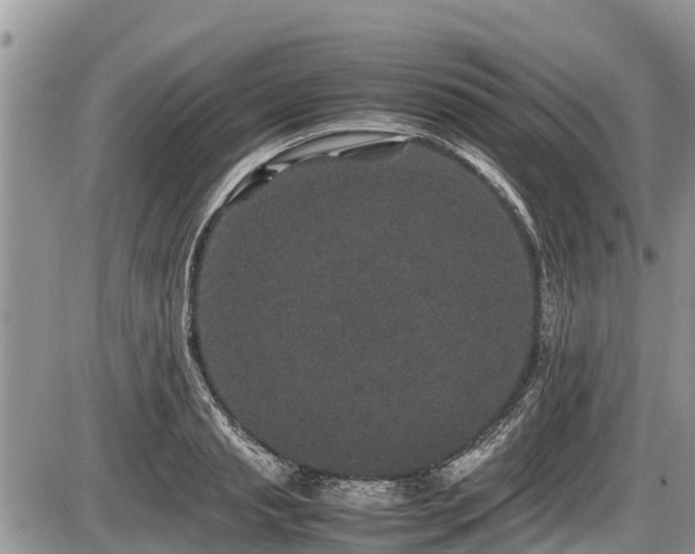 X0000085810845200703231334