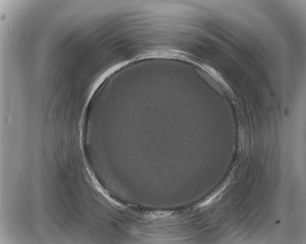 X0000085810846200703231334