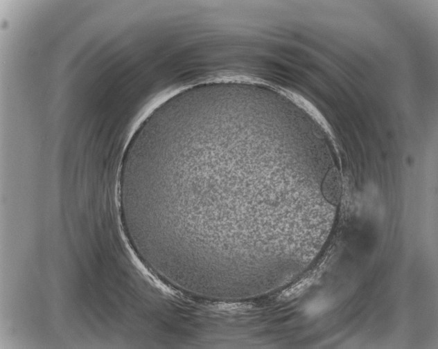 X0000085810847200703231334