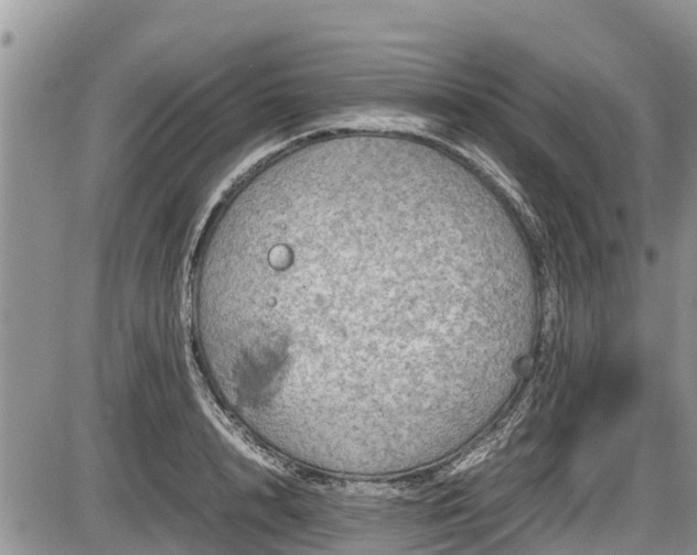 X0000085810848200703231334