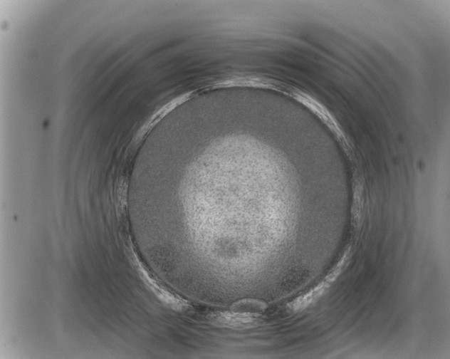 X0000085810849200703231334