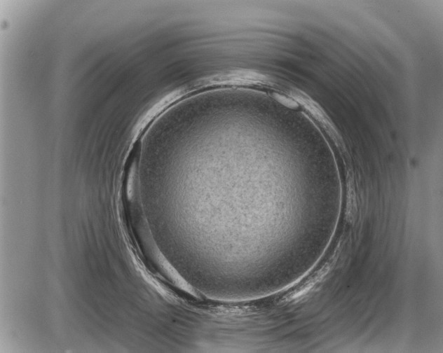 X0000085810850200703231334