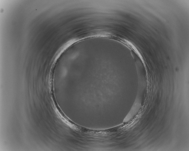 X0000085810851200703231334