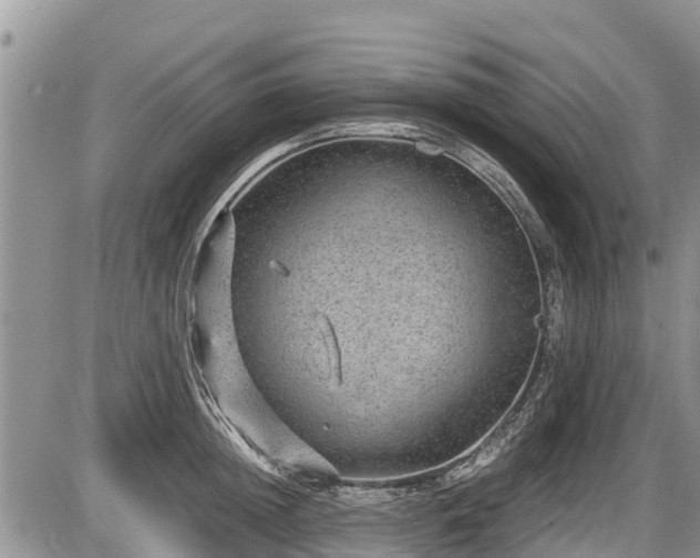 X0000085810852200703231334