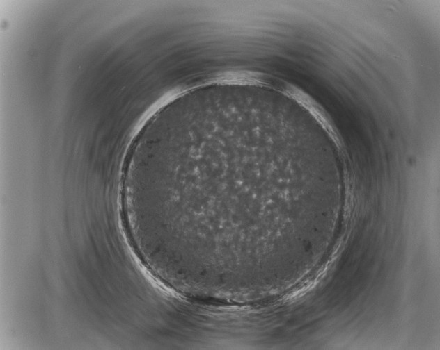 X0000085810853200703231334