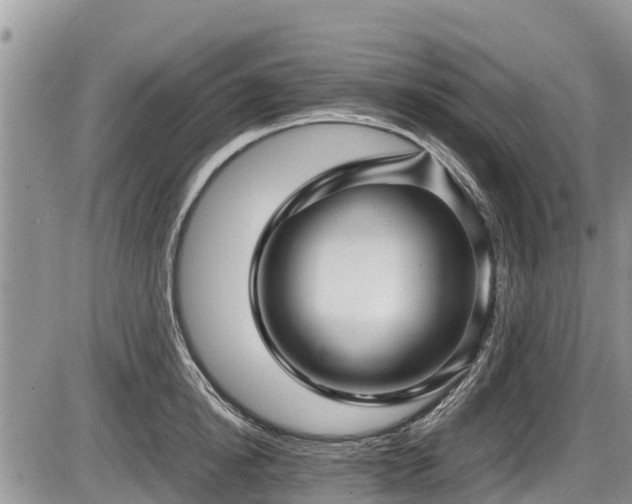 X0000085810854200703231334