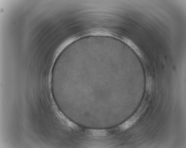 X0000085810856200703231334