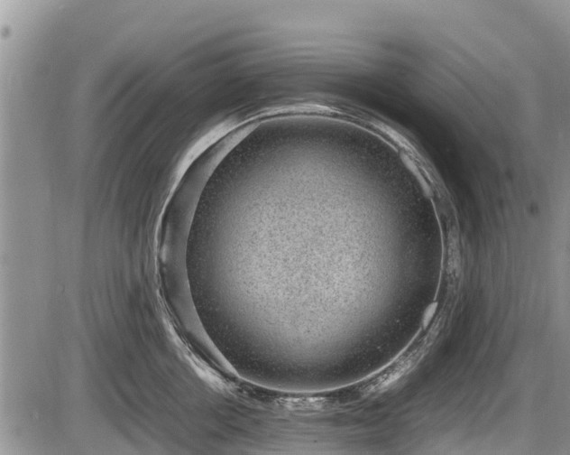 X0000085810858200703231334