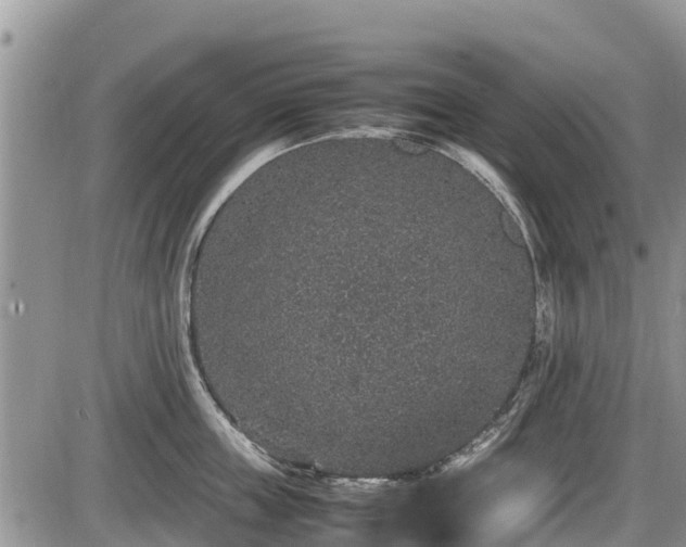 X0000085810859200703231334