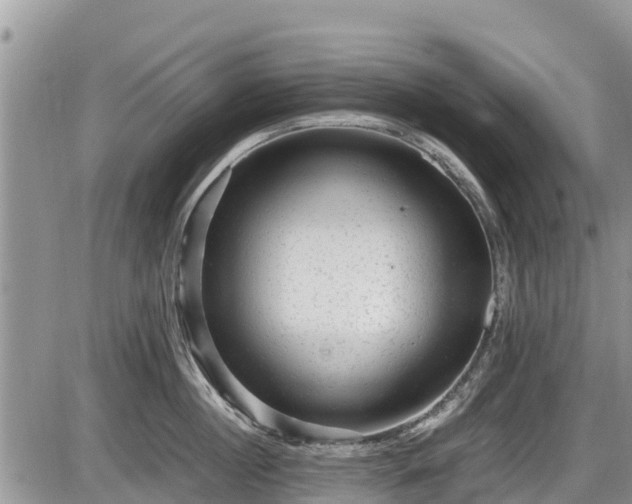 X0000085810860200703231334