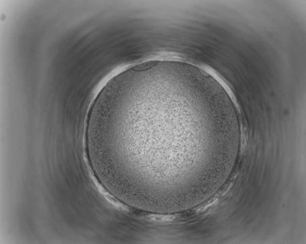 X0000085810861200703231334