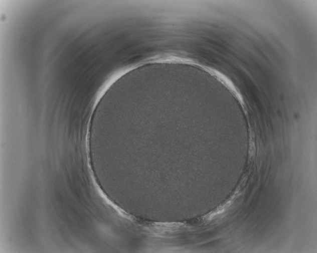 X0000085810863200703231334