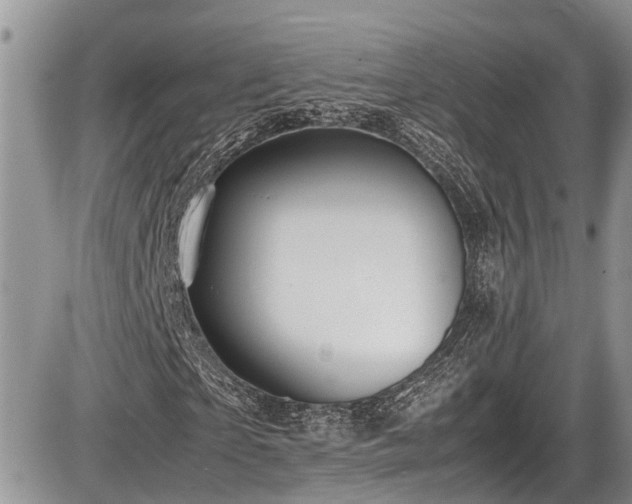 X0000085810865200703231333