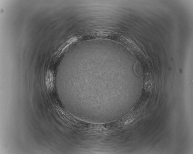 X0000085810866200703231333