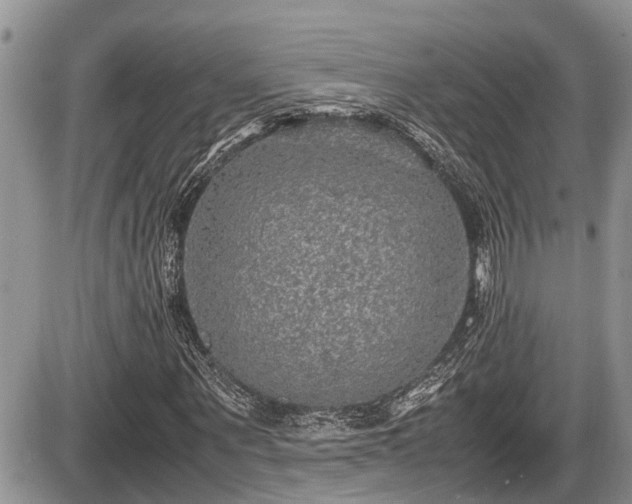 X0000085810867200703231333