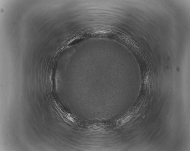 X0000085810868200703231333