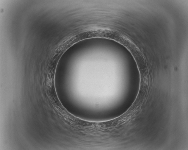 X0000085810869200703231333