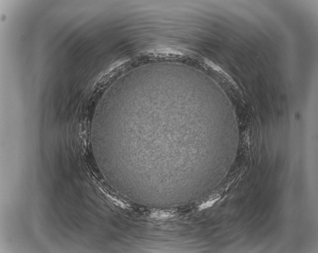 X0000085810870200703231333